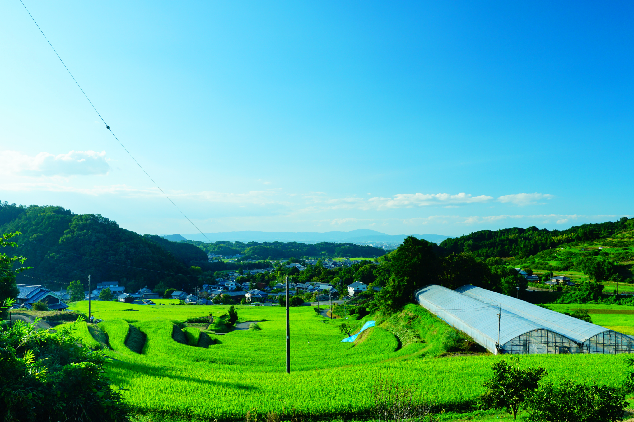 asuka, nara (4).webp